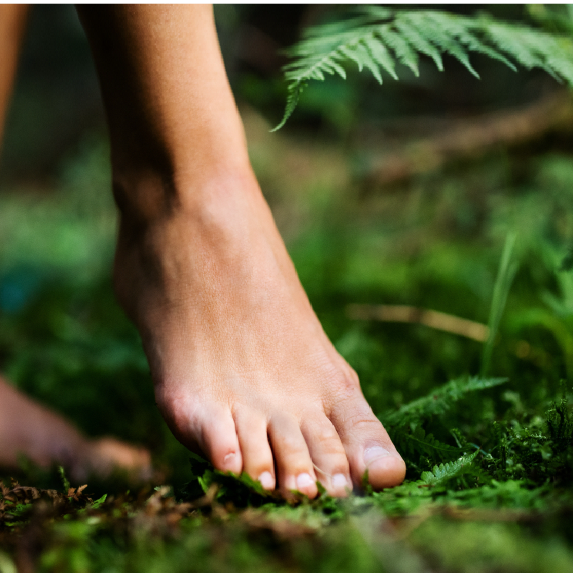 Right foot pressing into soil in forest